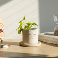 Planter, desk planter, table planter, tabletop planter, small planter